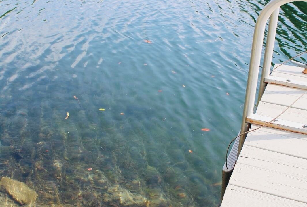 Photo of Others in Weeki Wachee Gardens