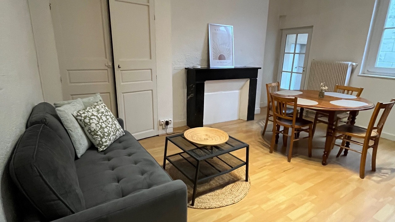 Photo of Livingroom in Downtown Angers