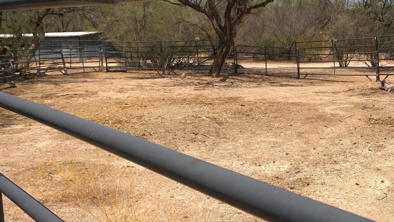 Photo of Outdoor in Tanque Verde