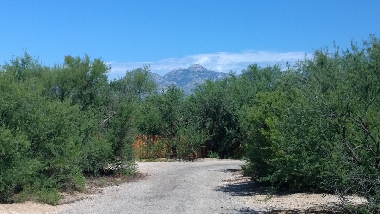 Photo of Others in Tanque Verde