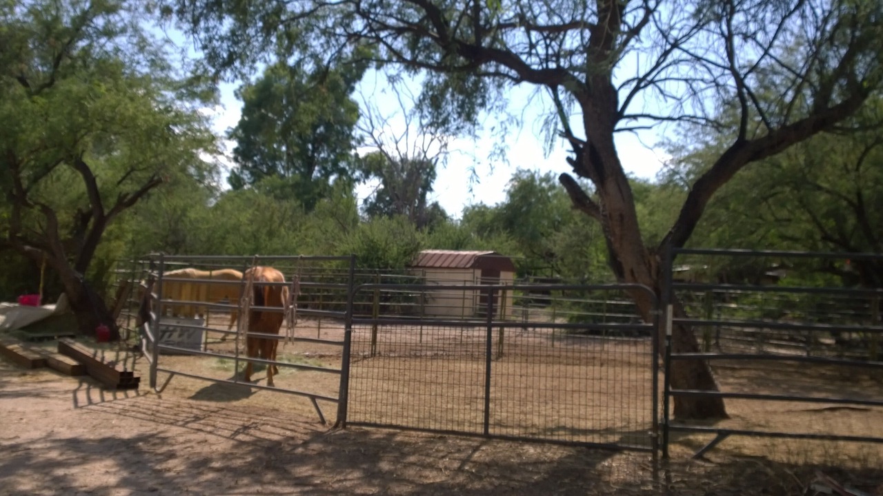 Photo of Others in Tanque Verde