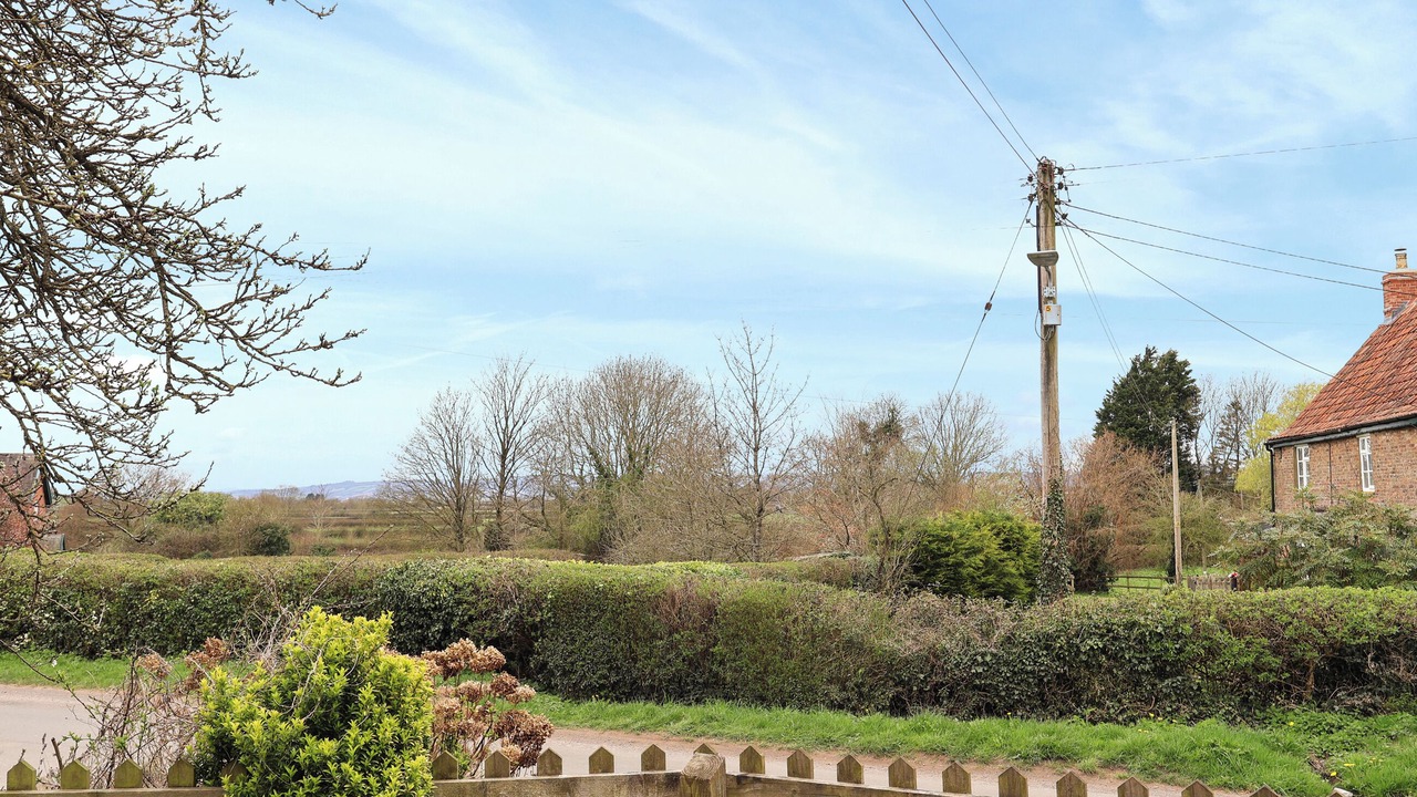 Photo of Others in Berkeley