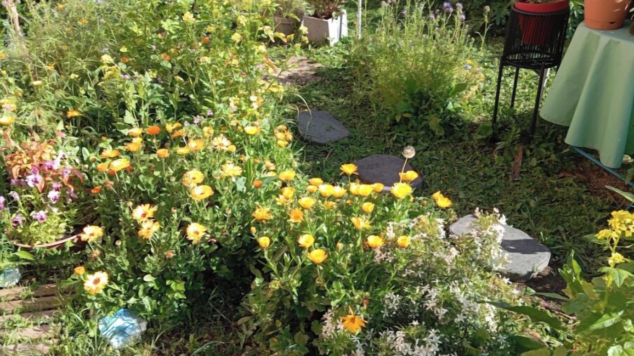 Photo of Outdoor in Esperaza