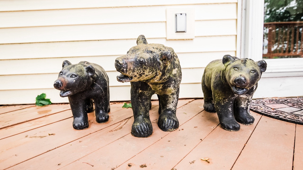 Photo of Others in Bear Lake