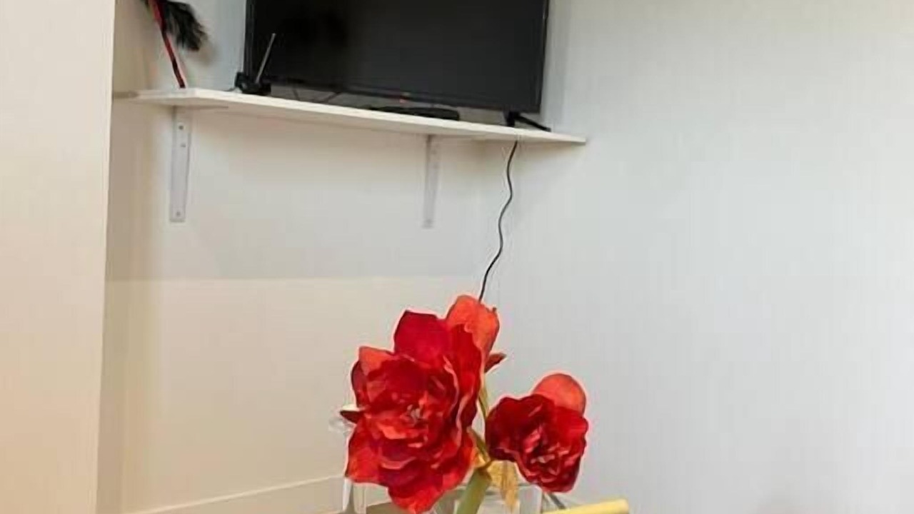 Photo of Others in Arras