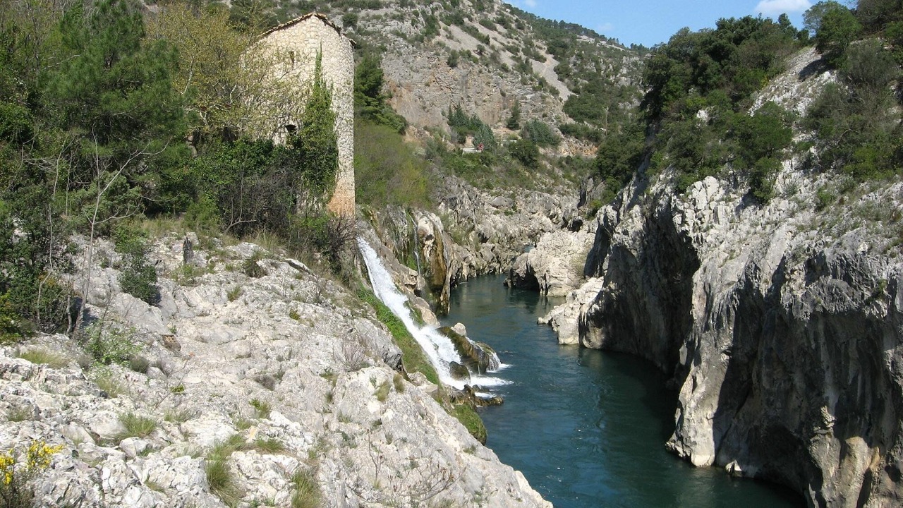 Photo of Others in Le Bosc