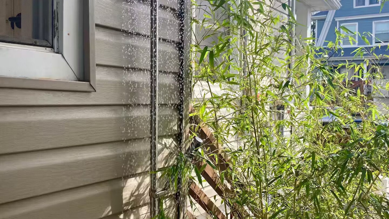 Photo of Outdoor in Queens