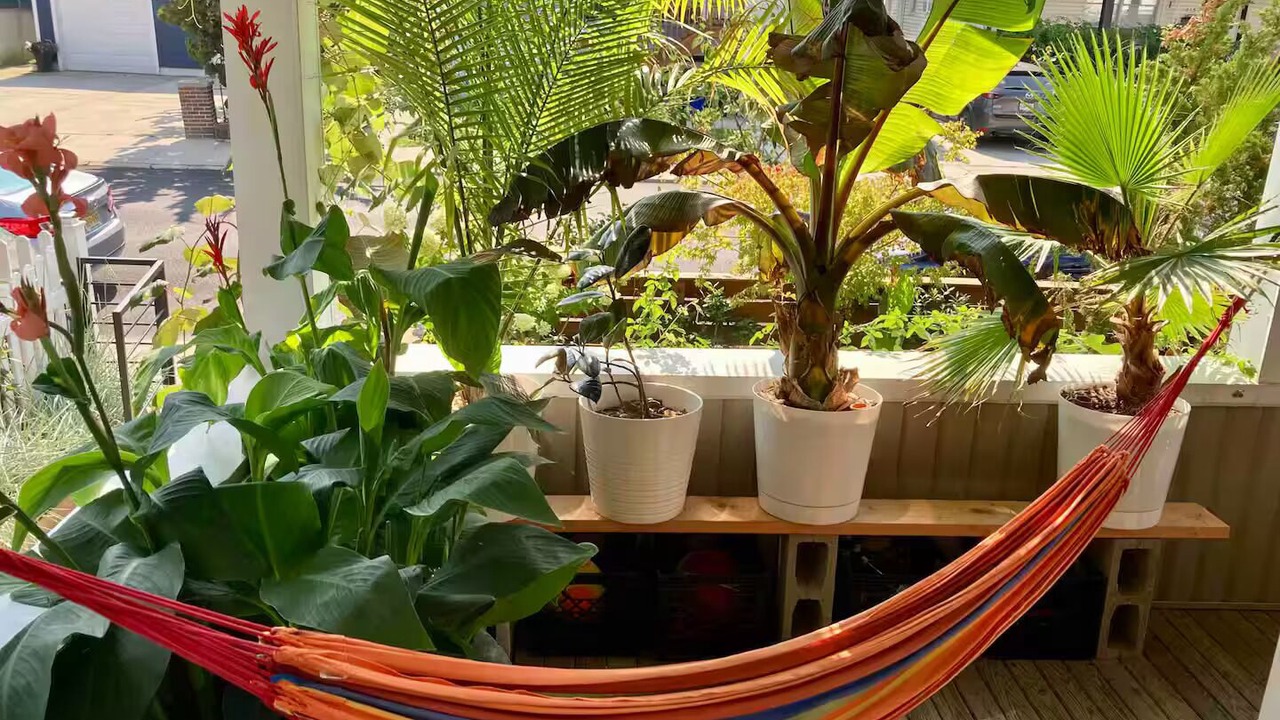 Photo of Outdoor in Queens