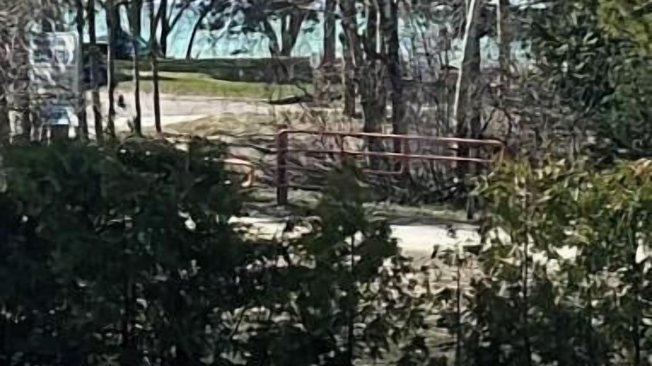 Photo of Others in Wasaga Beach