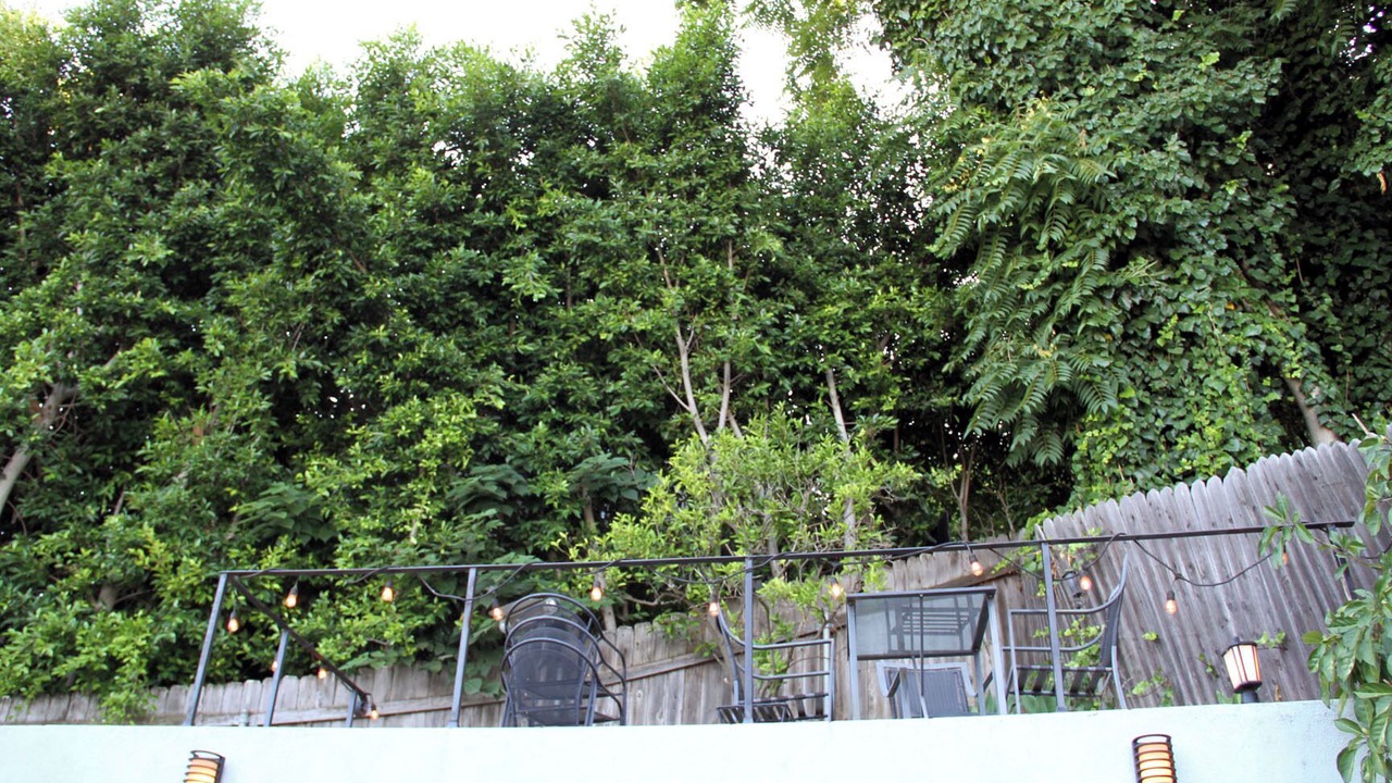 Photo of Patio Balcony in Studio City