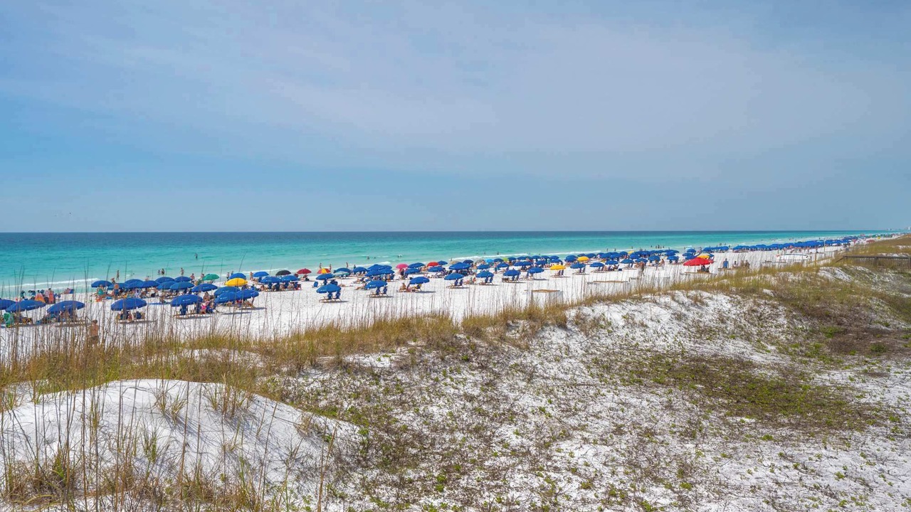 Photo of Others in Avalon Beach Estates