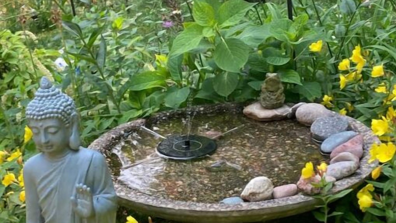 Photo of Outdoor in Lake Ann