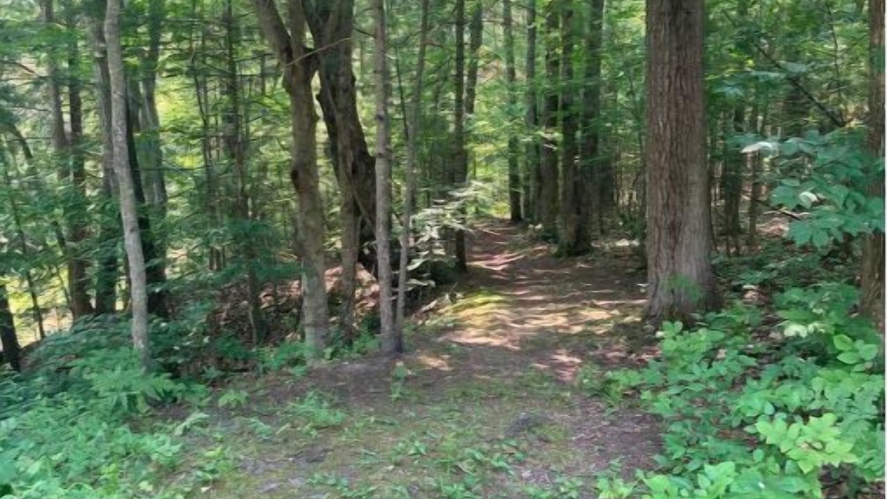 Photo of Others in Lake Ann