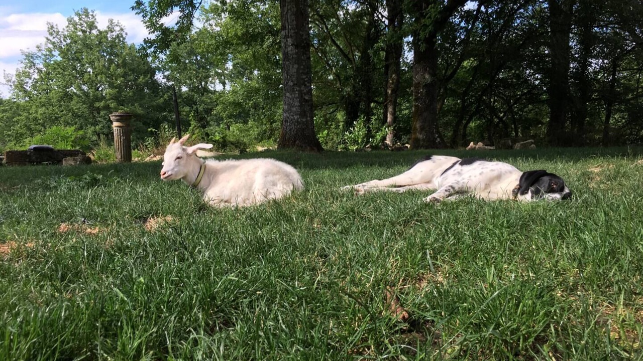 Photo of Others in Monmadales