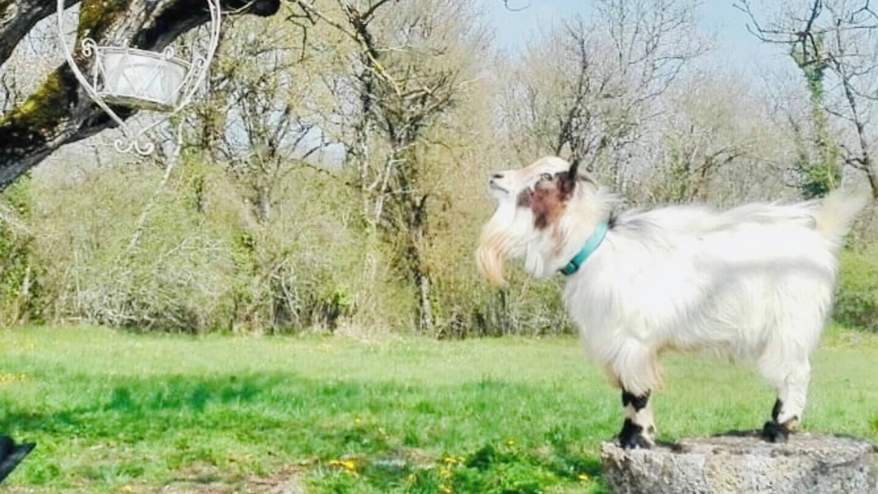 Photo of Others in Monmadales