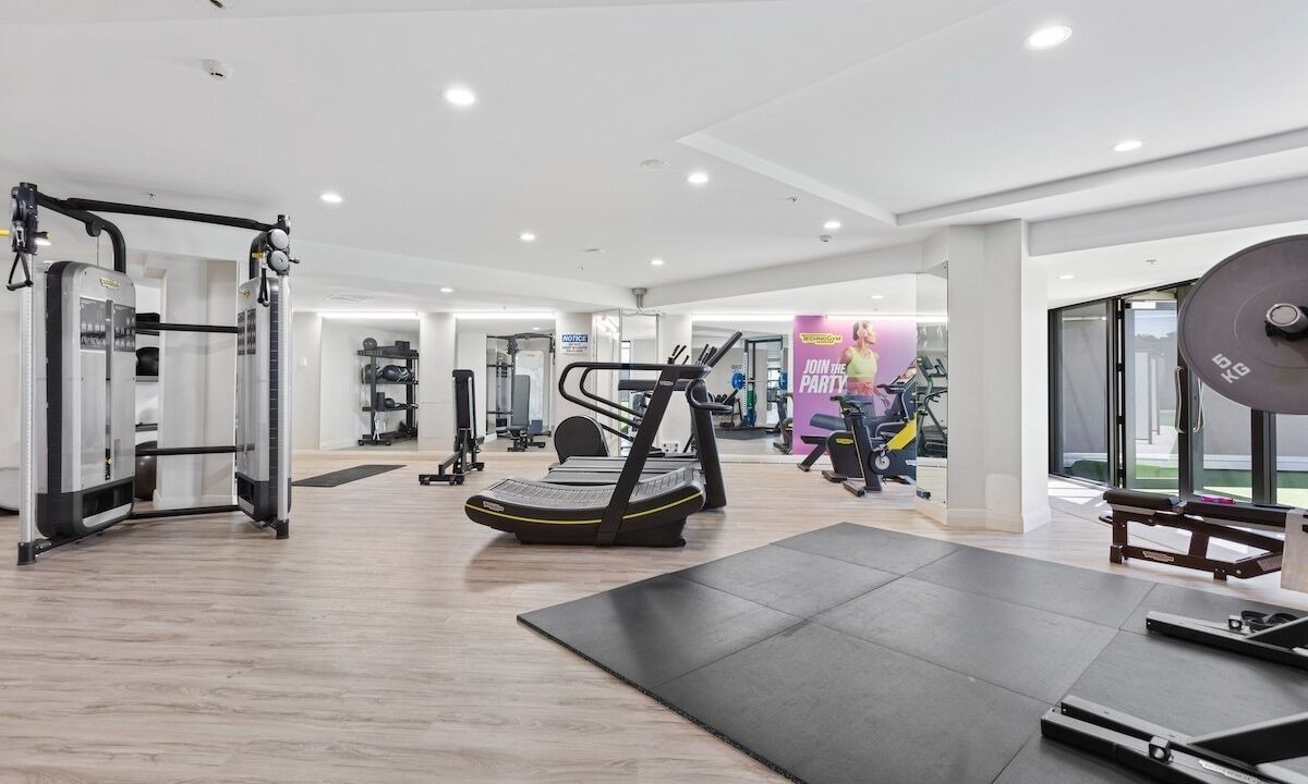 Photo of Others in Takapuna