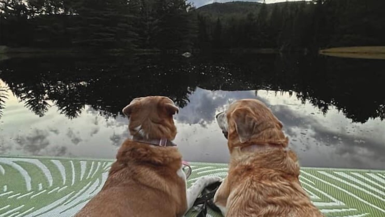 Photo of Others in Whitefield