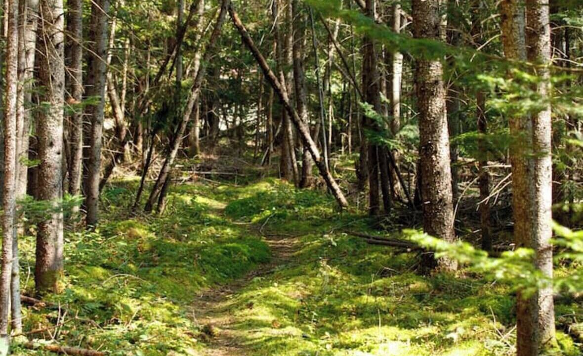 Photo of Others in Whitefield