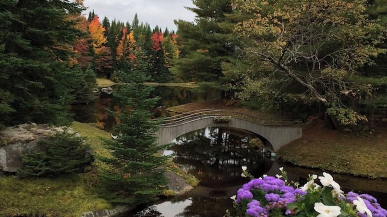 Photo of Others in Whitefield