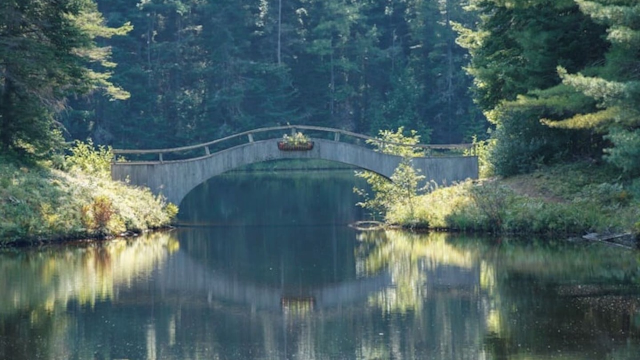 Photo of Others in Whitefield