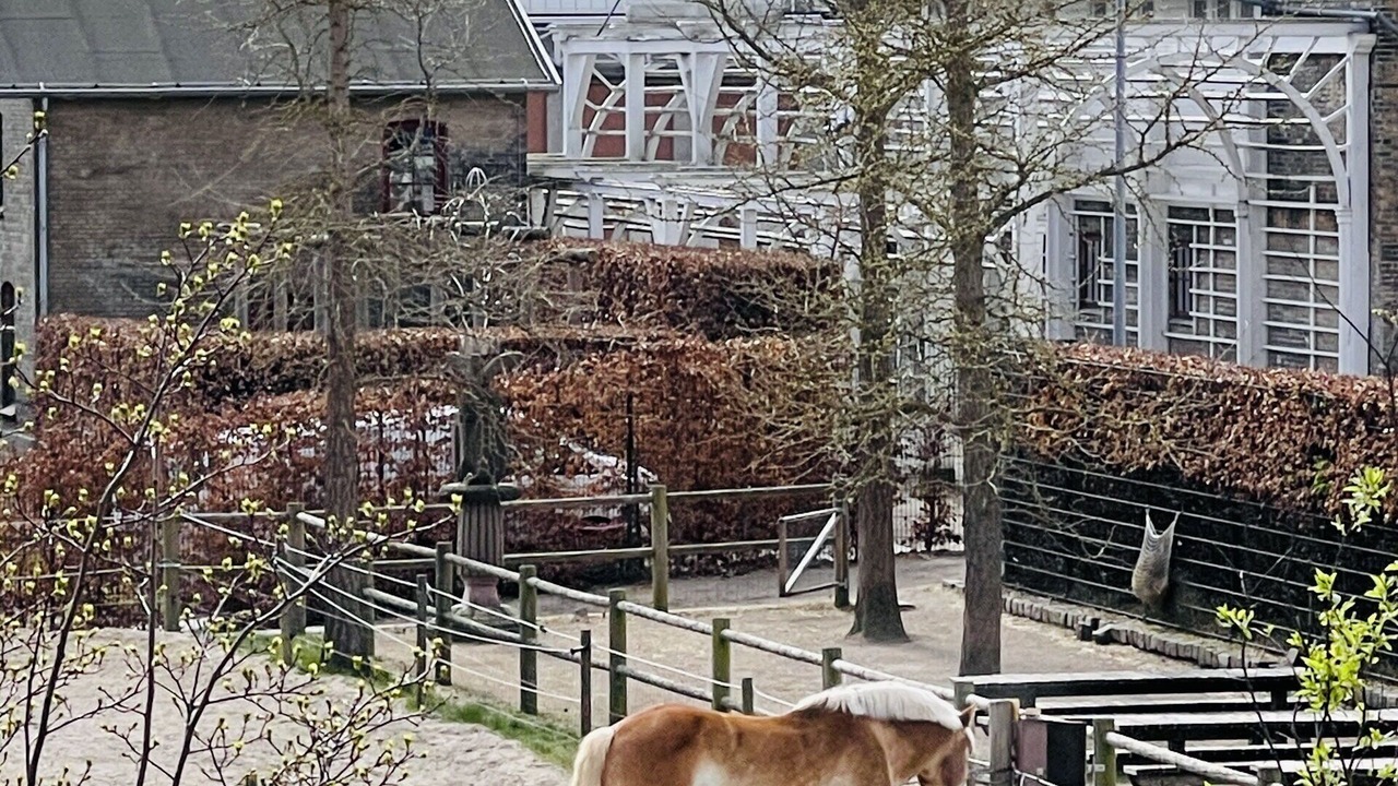 Photo of Outdoor in Vesterbro