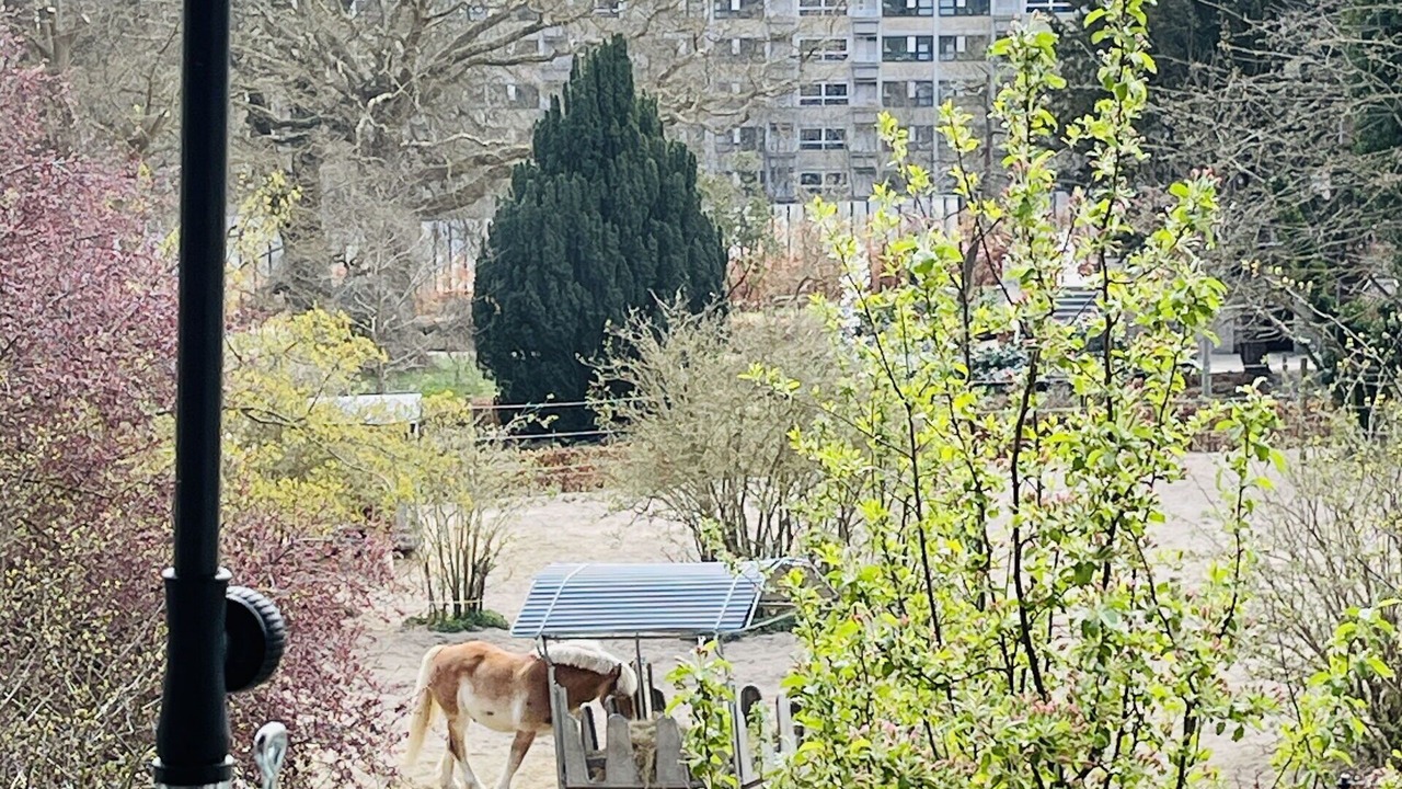 Photo of Outdoor in Vesterbro