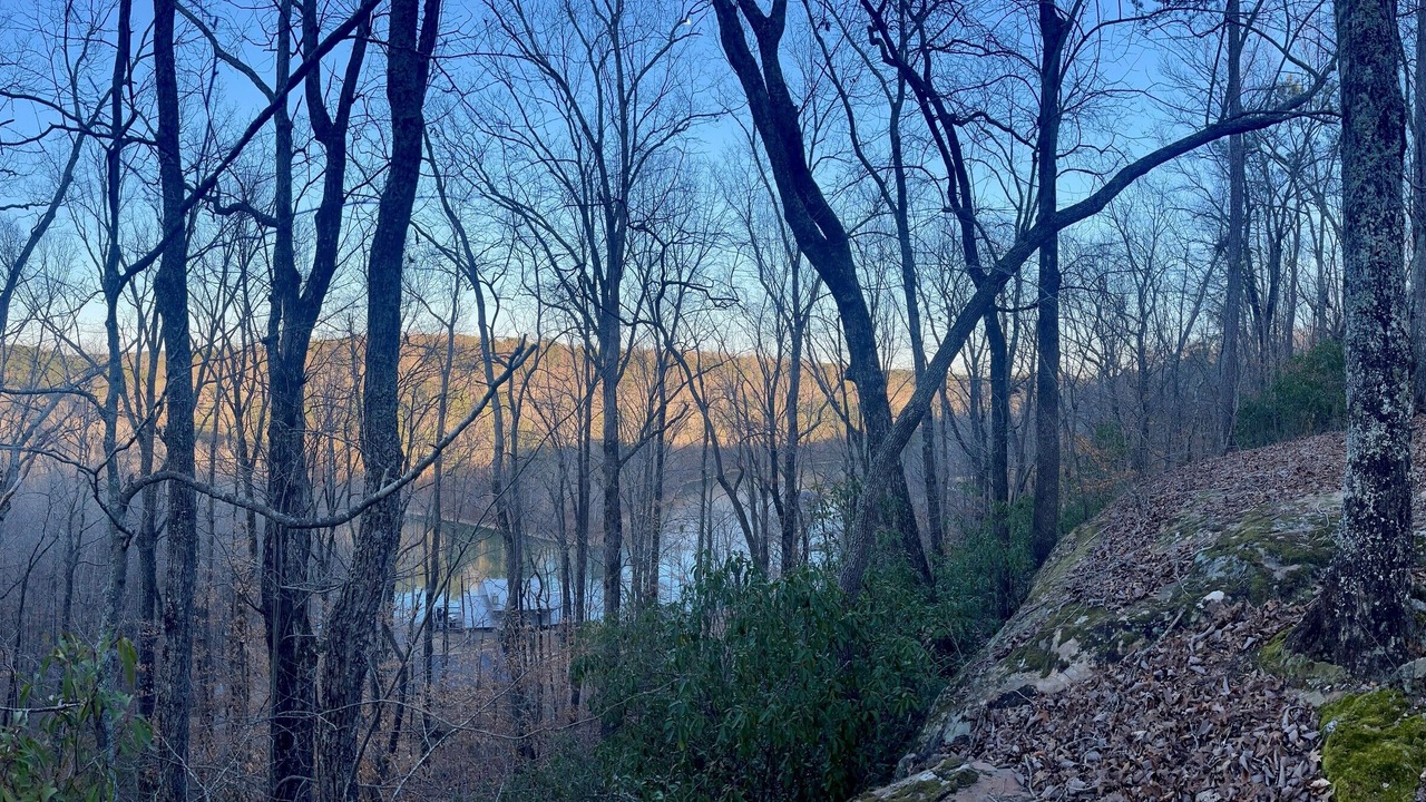 Photo of Others in Arley