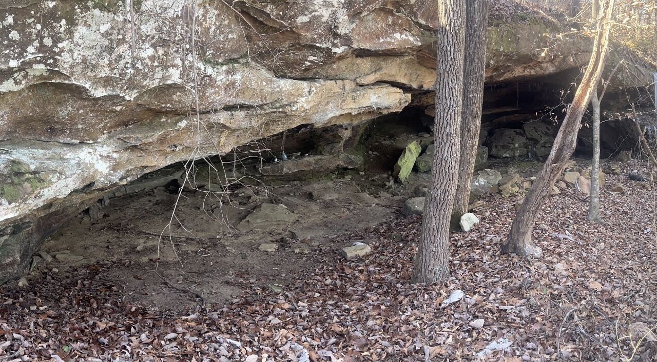 Photo of Others in Arley