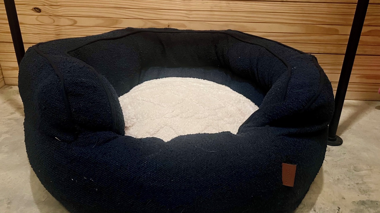 Photo of Others in Arley