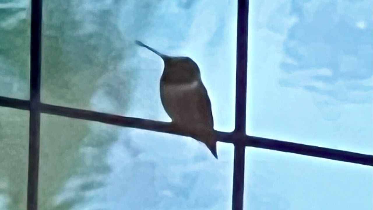 Photo of Others in Arley