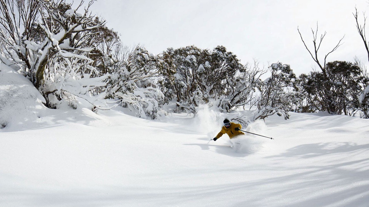 Photo of Others in Thredbo
