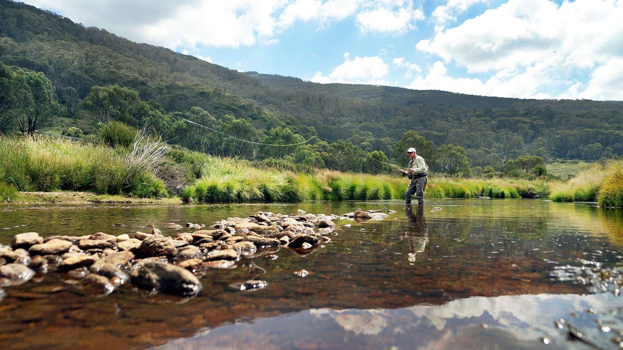 Photo of Others in Thredbo