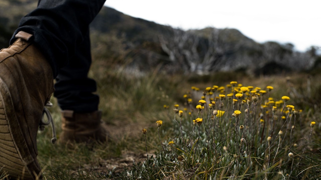 Photo of Others in Thredbo