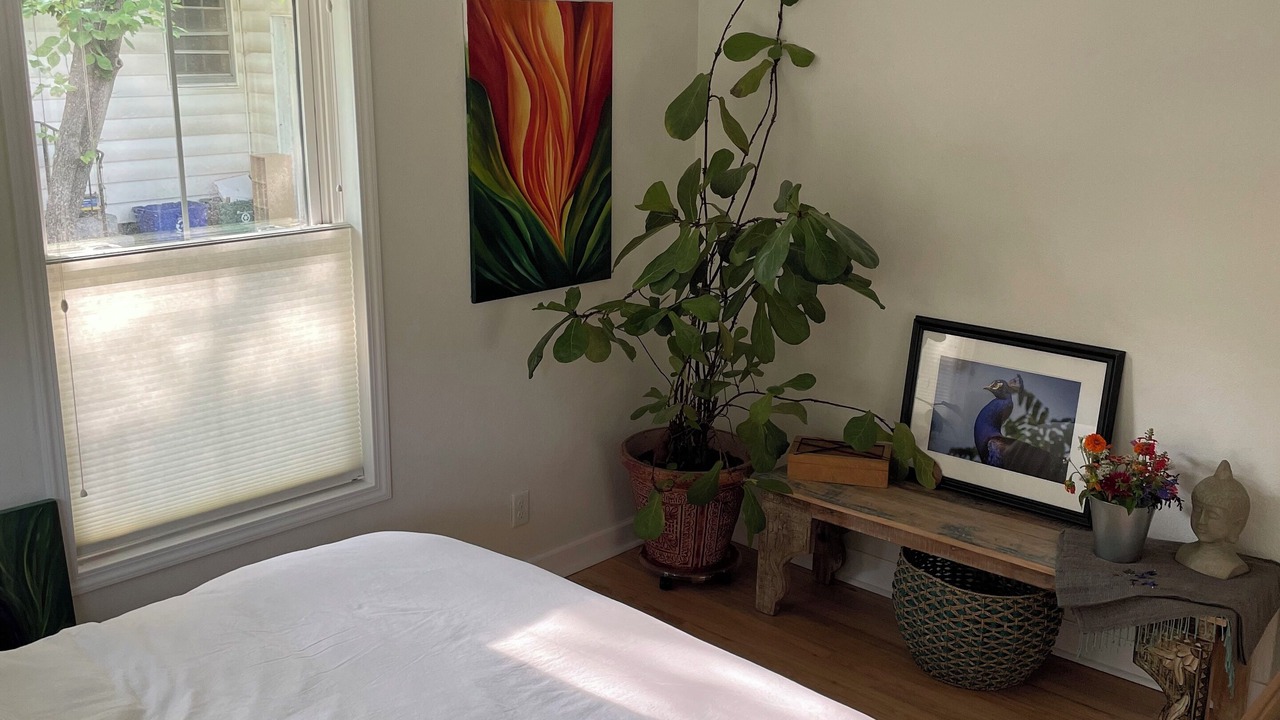 Photo of Bedroom in Carbondale