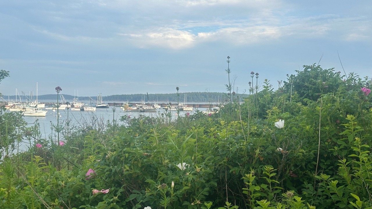 Photo of Others in Jonesport