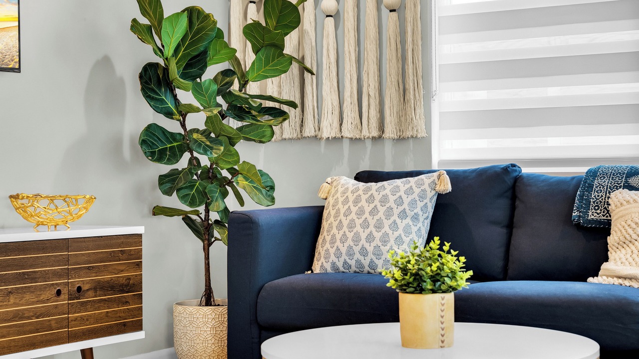 Photo of Livingroom in Hollywood