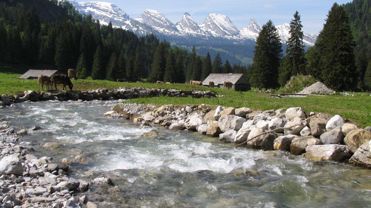 Photo of Others in Wildhaus