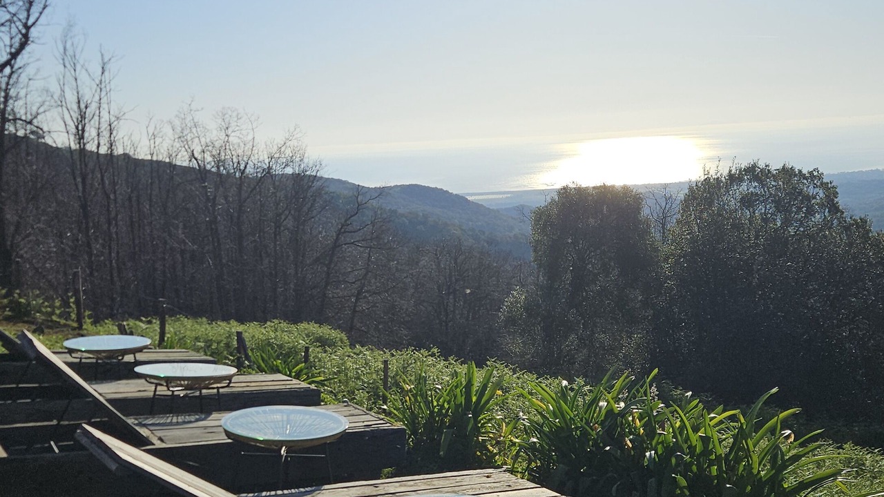 Photo of Outdoor in Porri