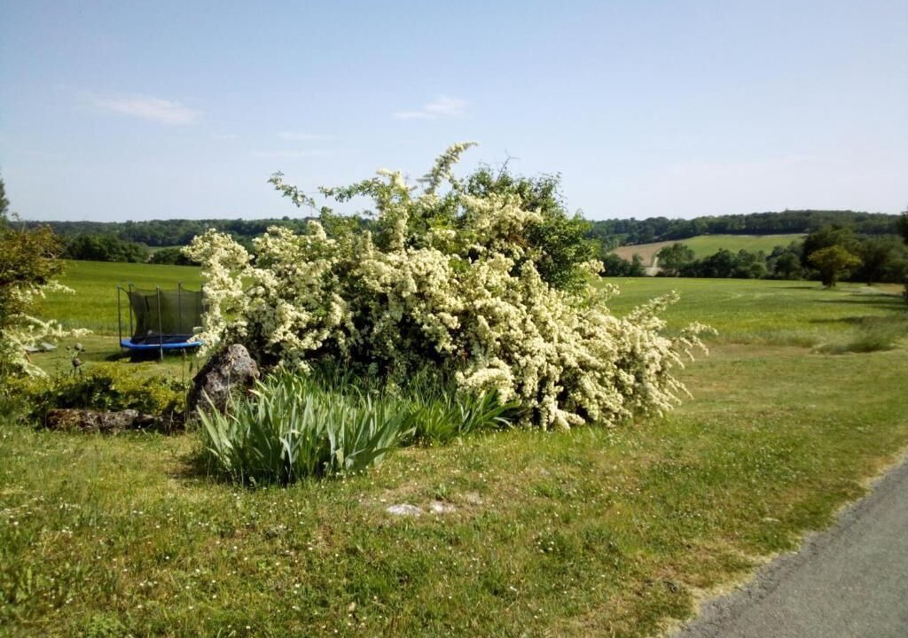 Photo of Others in Villeneuve-sur-Vere