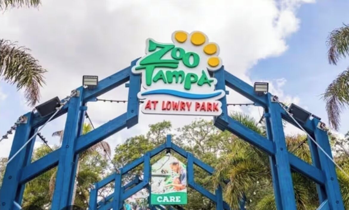 Photo of Others in Citrus Park