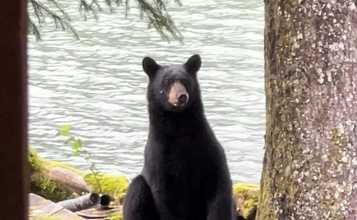Photo of Others in Cordova