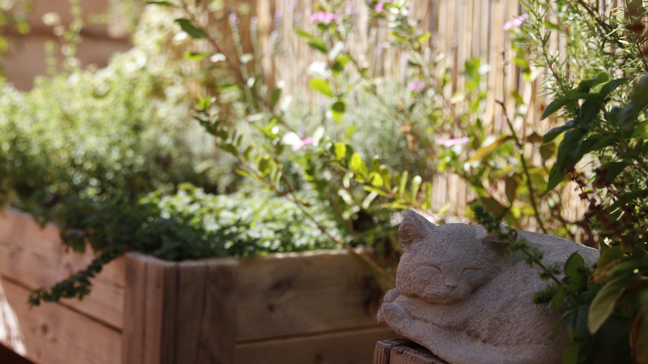 Photo of Outdoor in Potries