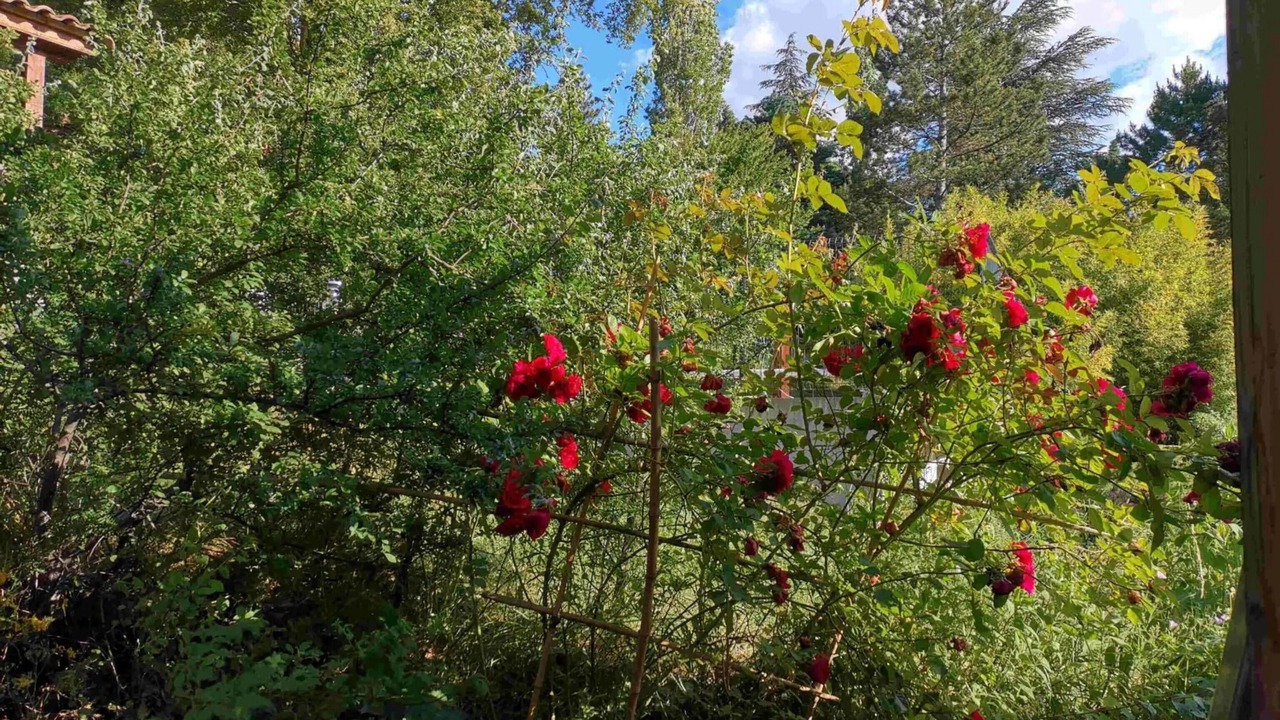 Photo of Outdoor in Darbres