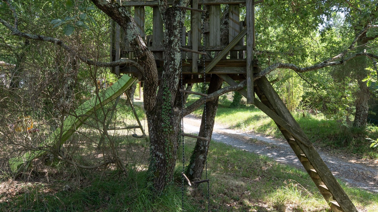 Photo of Others in Darbres