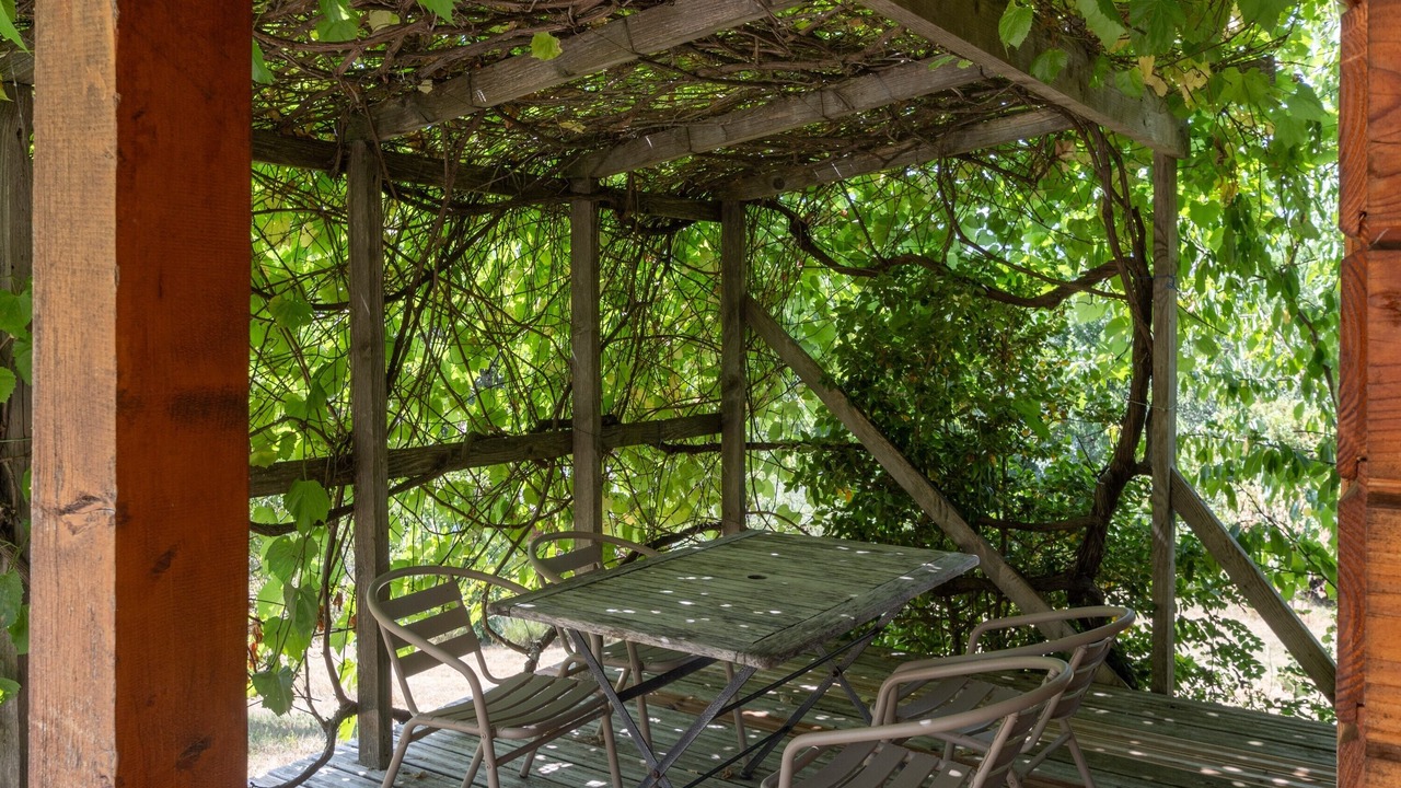 Photo of Outdoor in Darbres