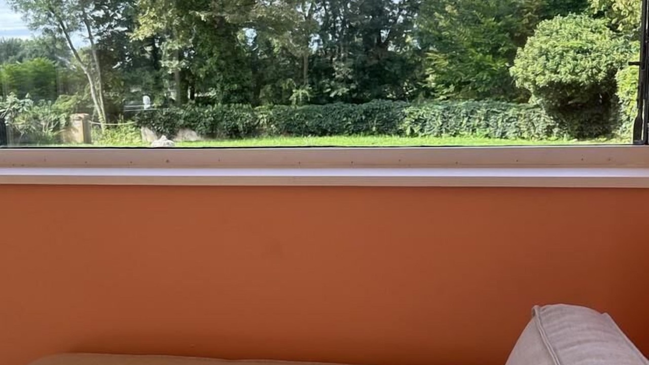 Photo of Others in Thoissey