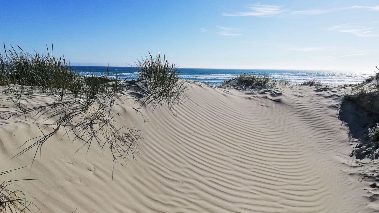 Photo of Others in Ploneour-Lanvern