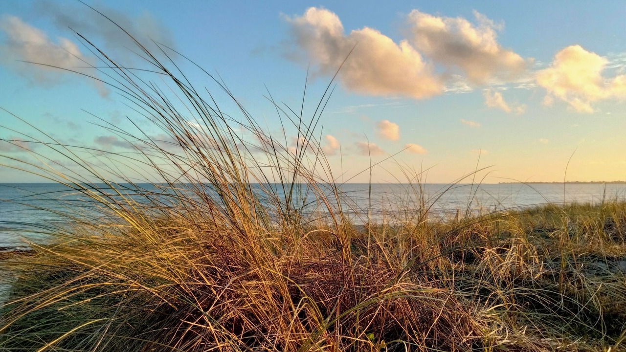 Photo of Others in Ploneour-Lanvern