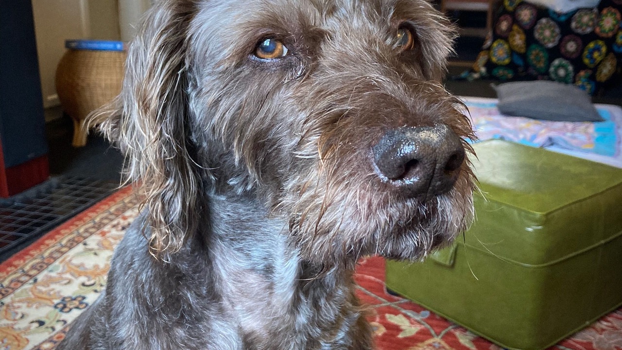 Photo of Others in Lithgow