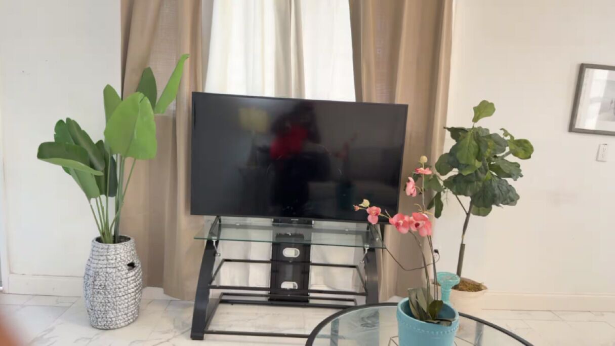 Photo of Others in Sarasota